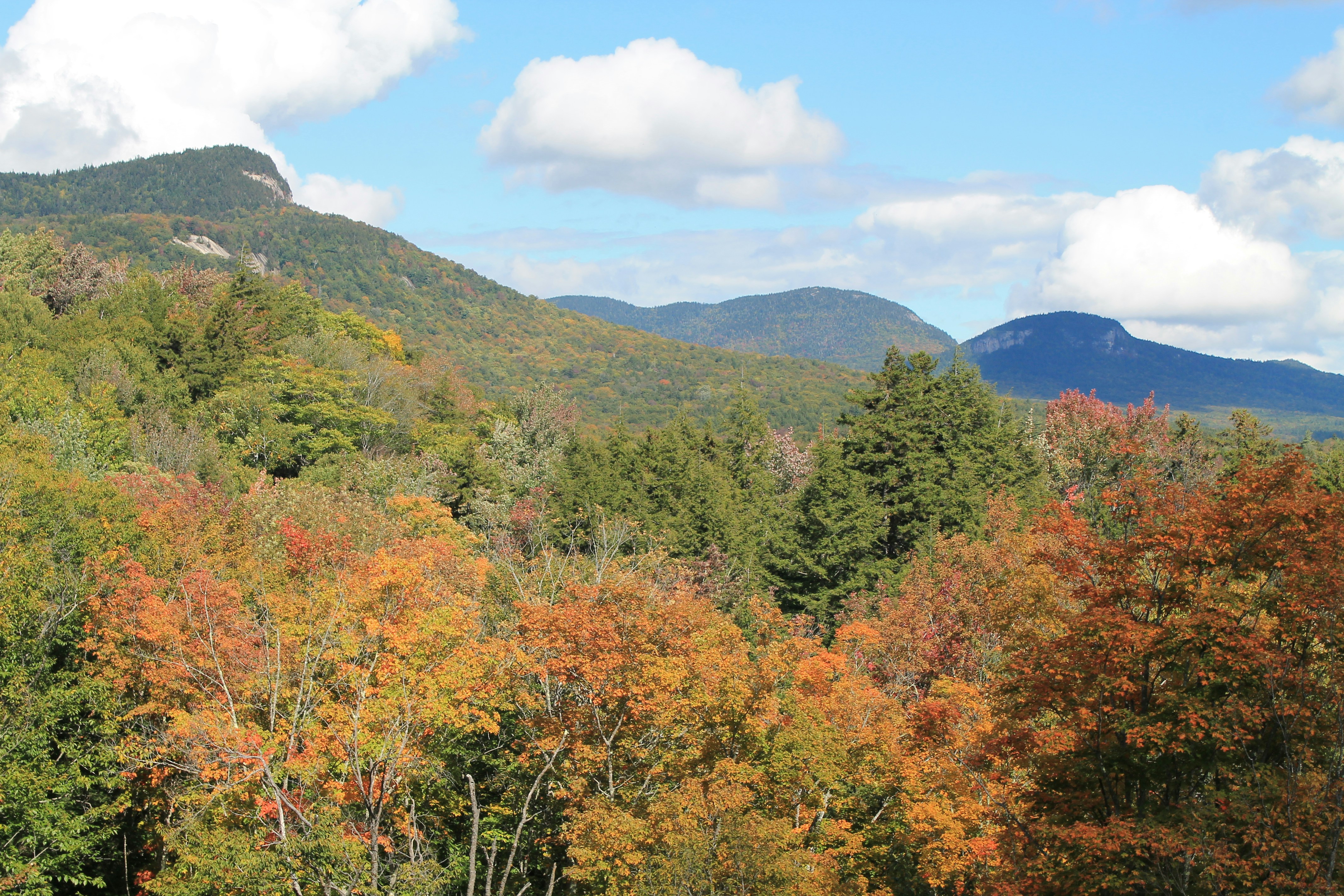 Exploring Lincoln Park: A Guide to Chicagos Vibrant Neighborhoods