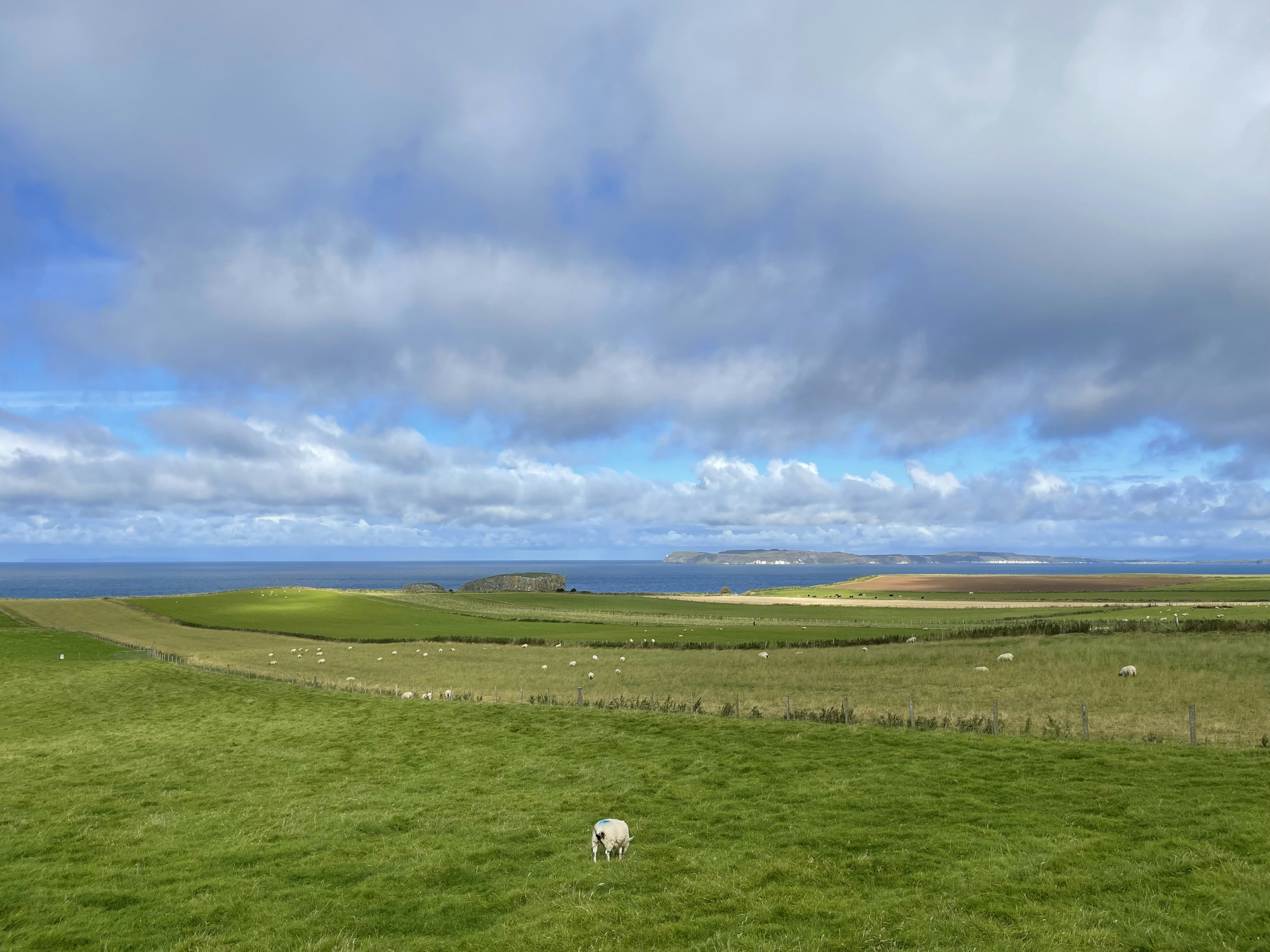 Photo by zeynepelifko