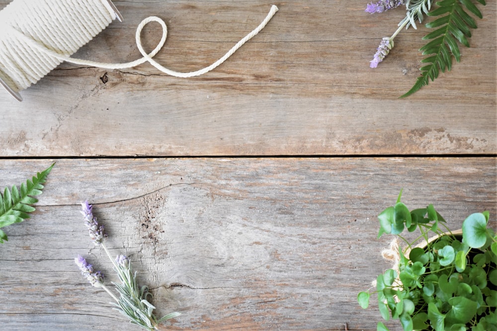 a wooden deck with a white string