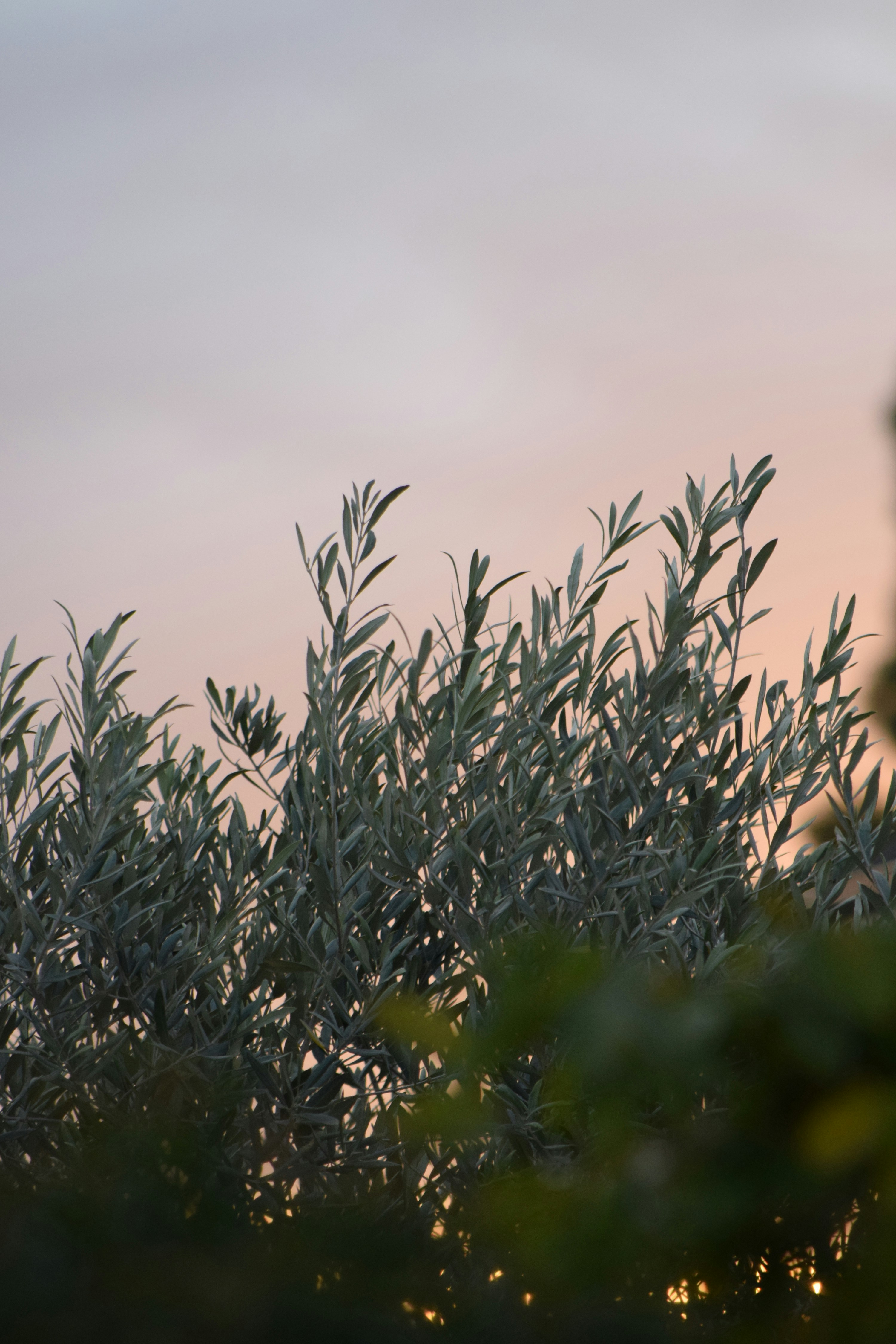 Photo by ch_photography