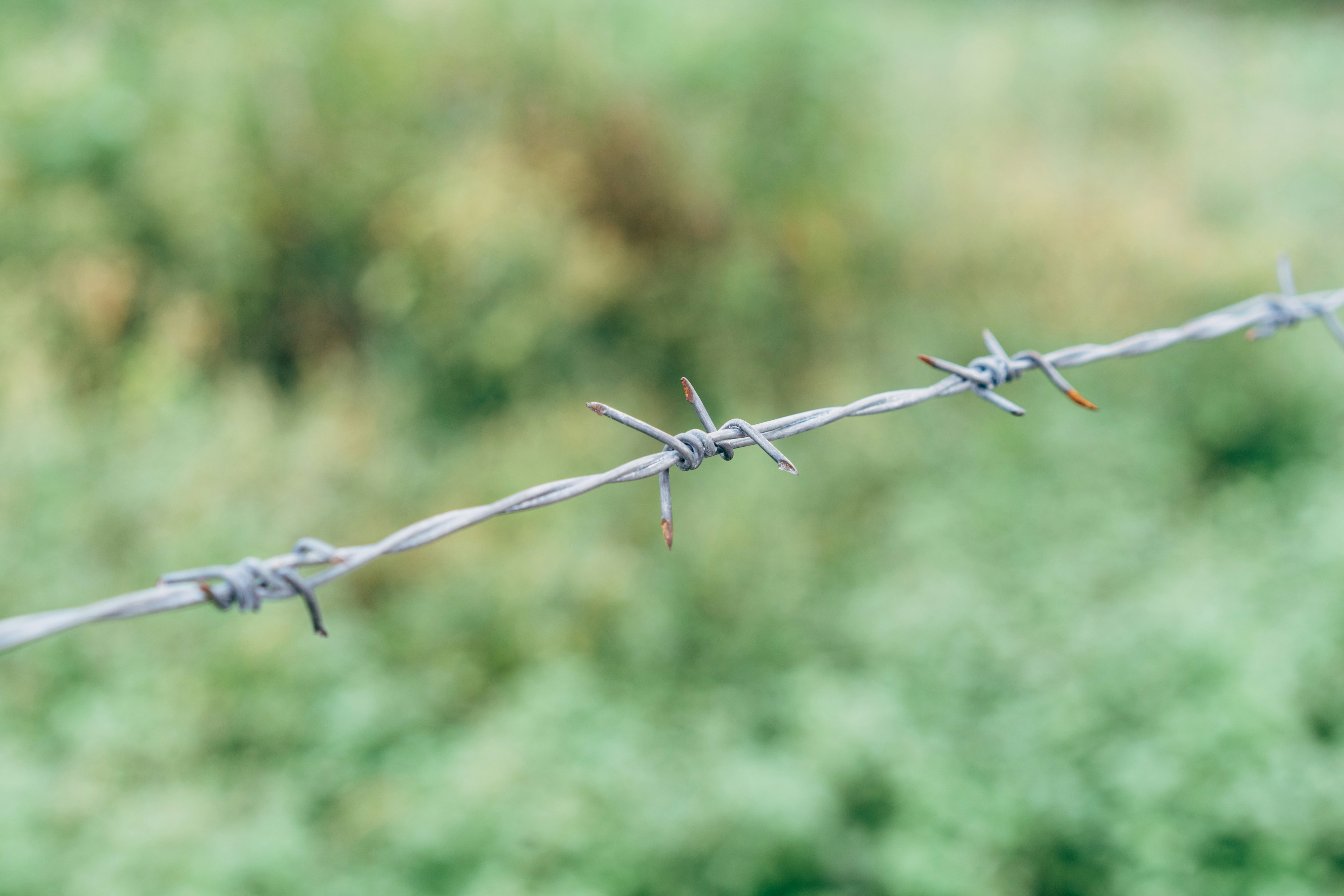 Photo by markuswinkler