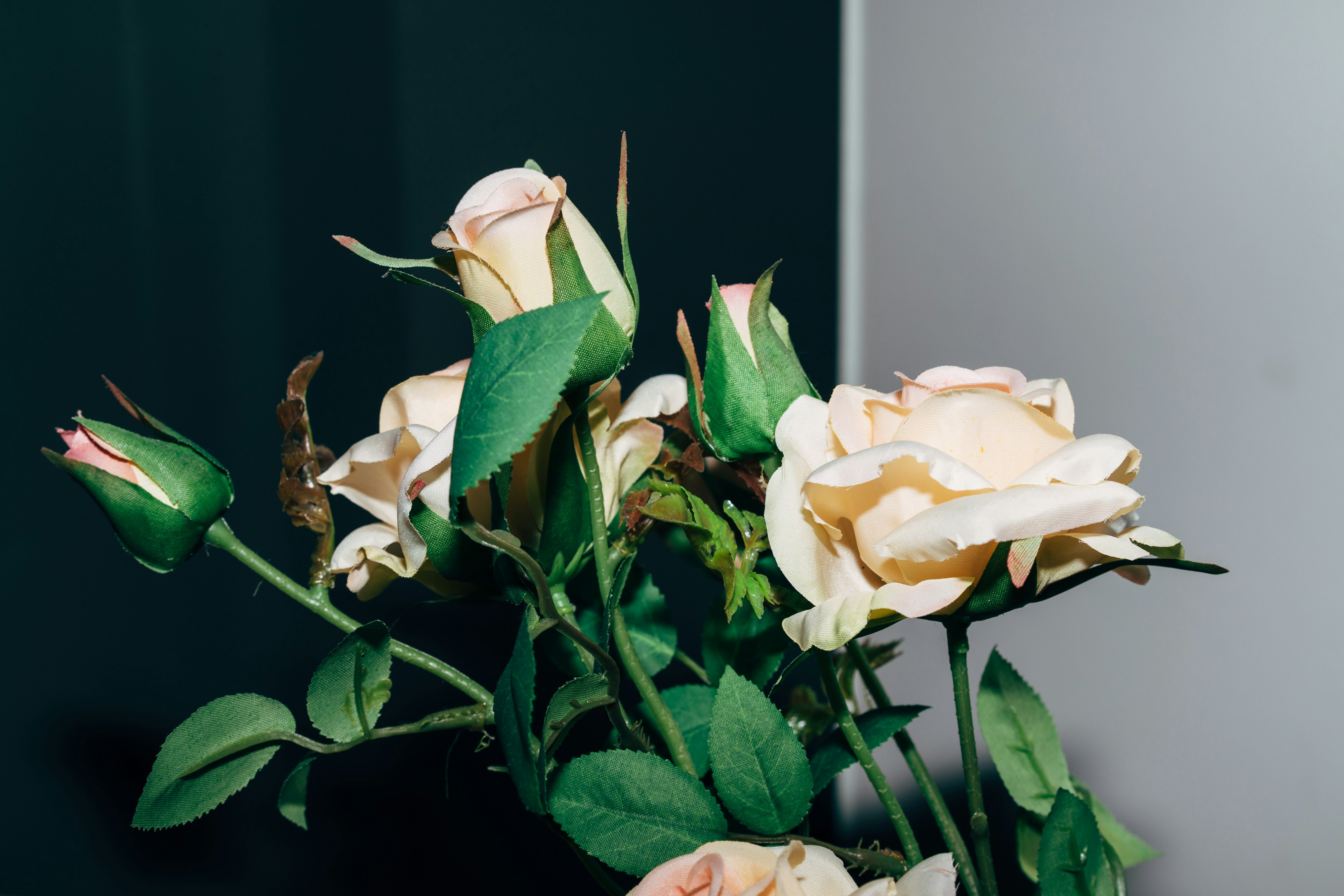 Photo by markuswinkler