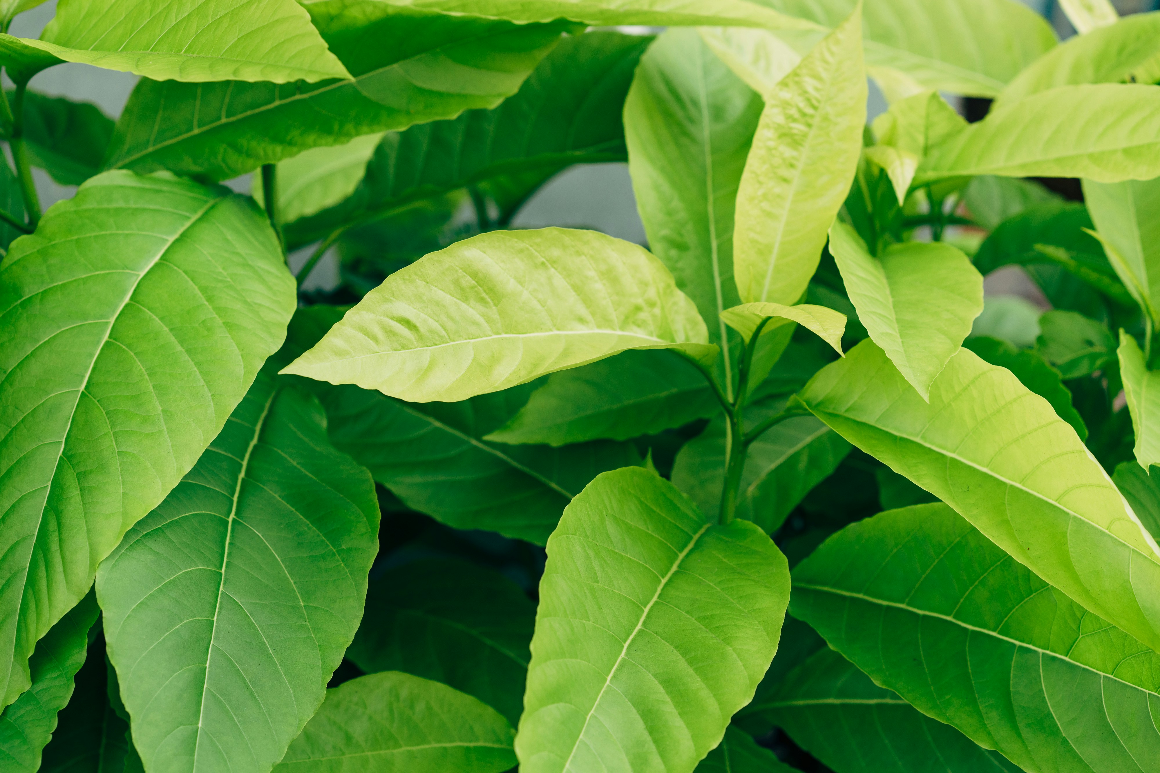 Photo by markuswinkler