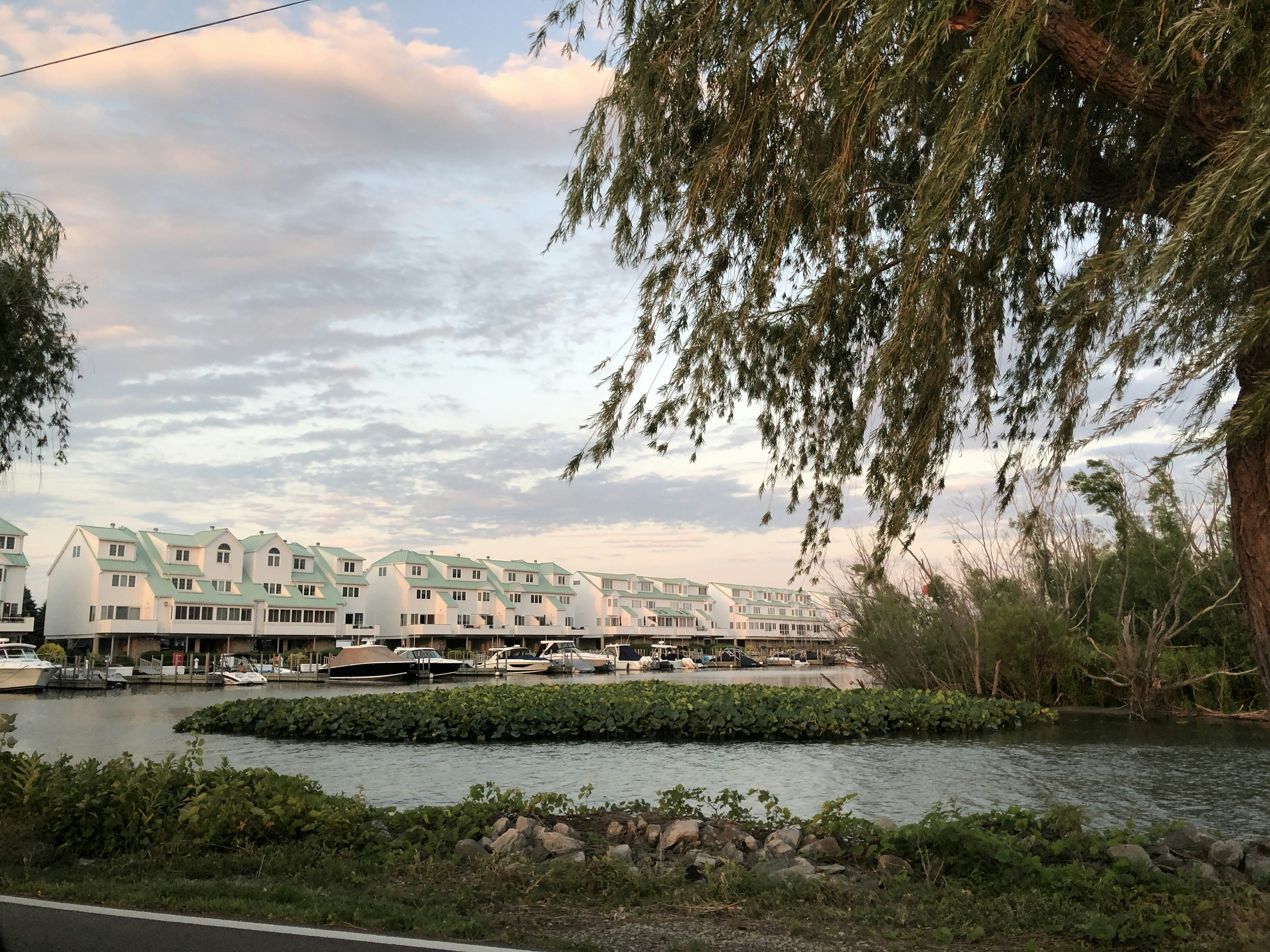 Une rivière avec un arbre et des bâtiments en arrière-plan