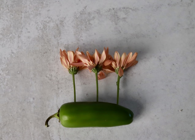a group of flowers in a pot