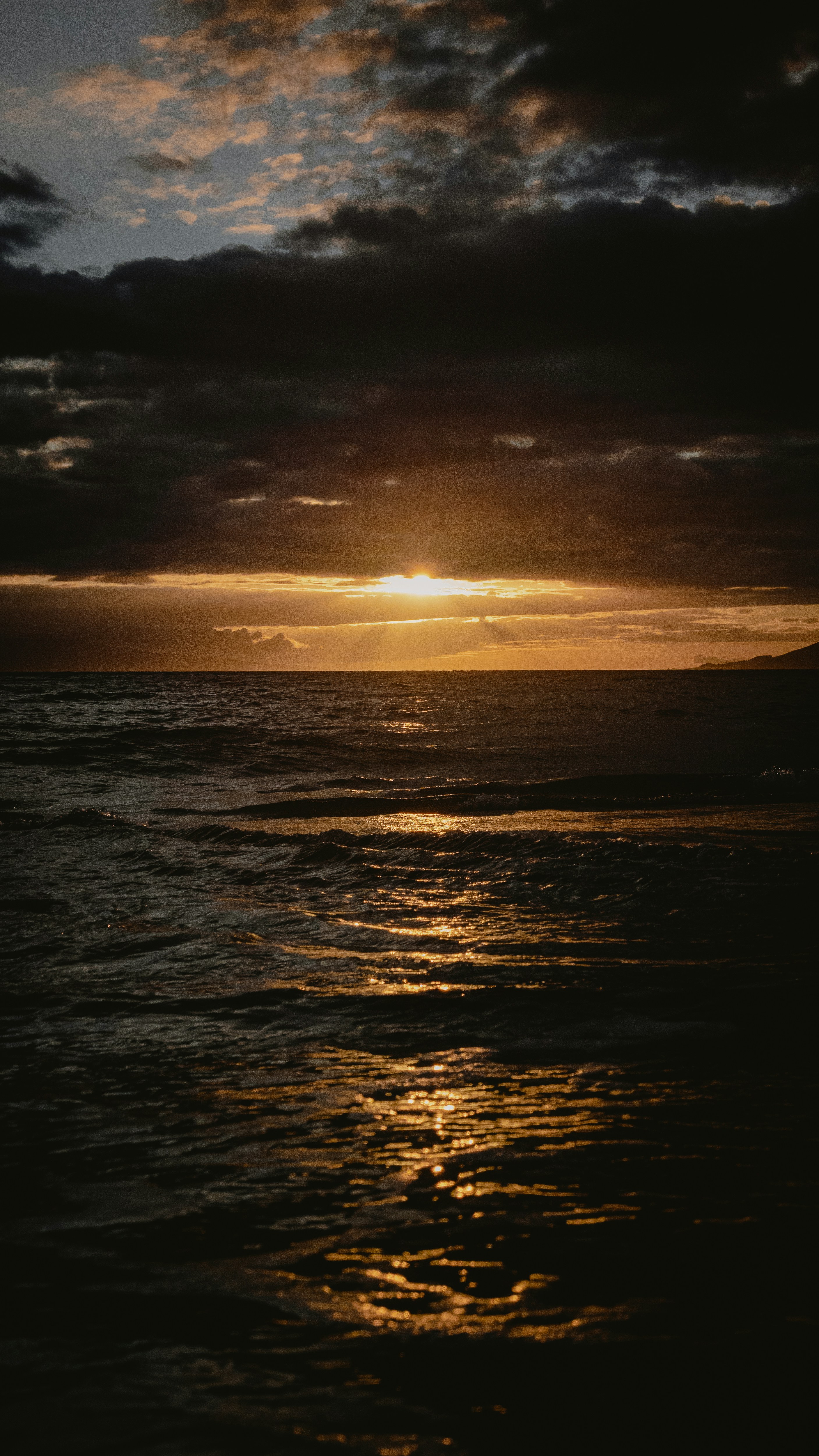 Photo by kalaniparker