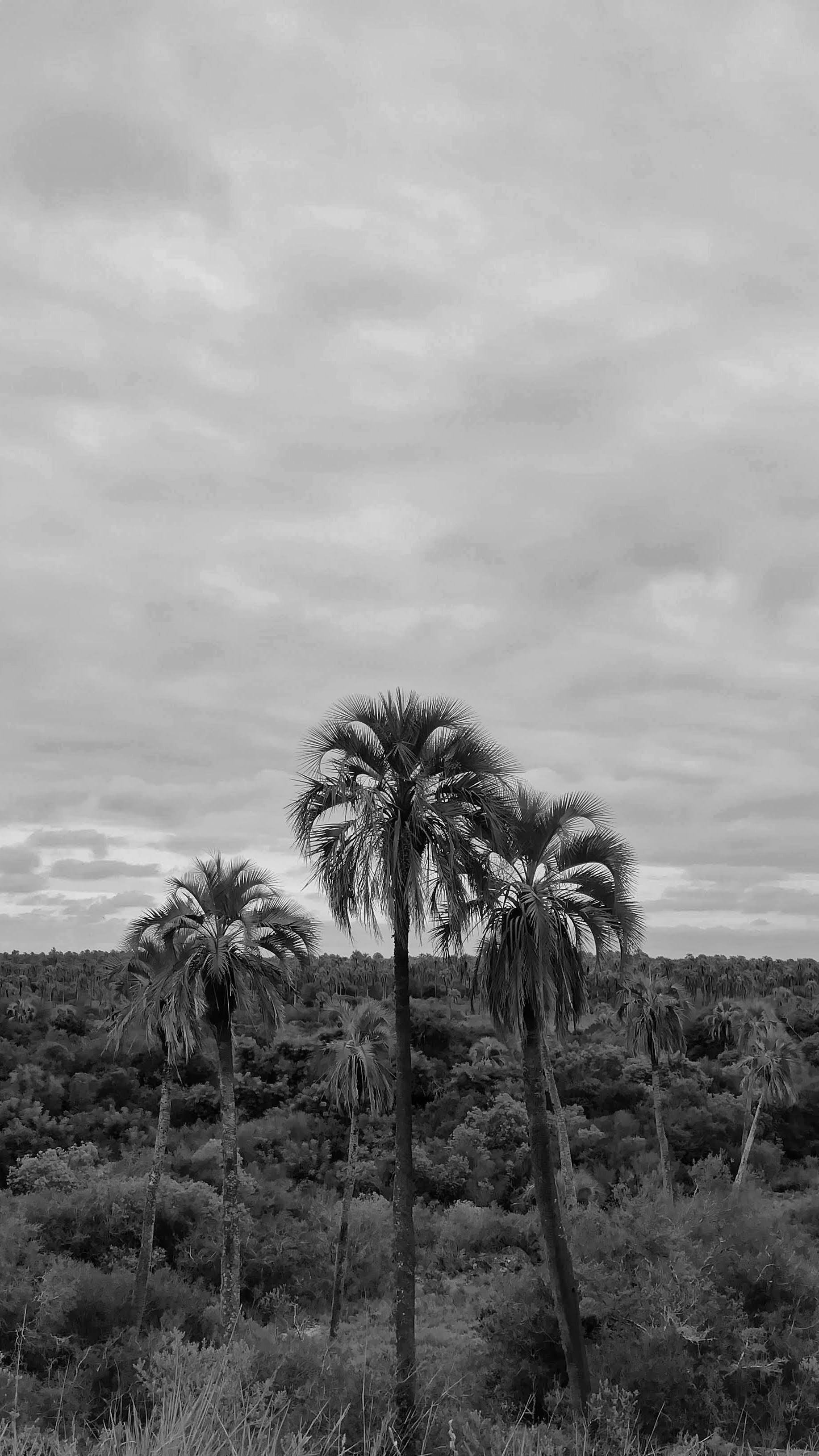 Photo by lautaroogongora