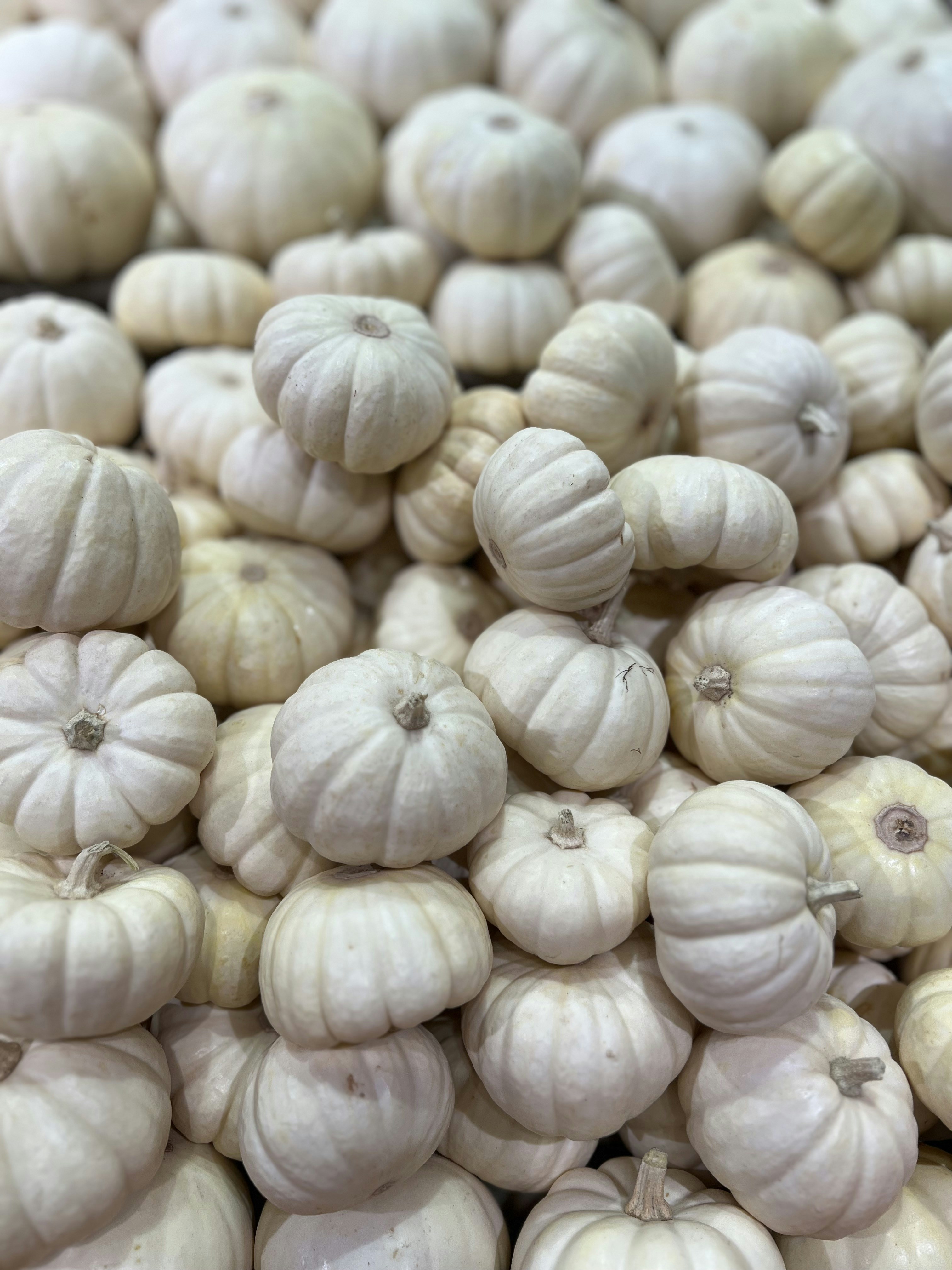 Photo by chrismckflurry