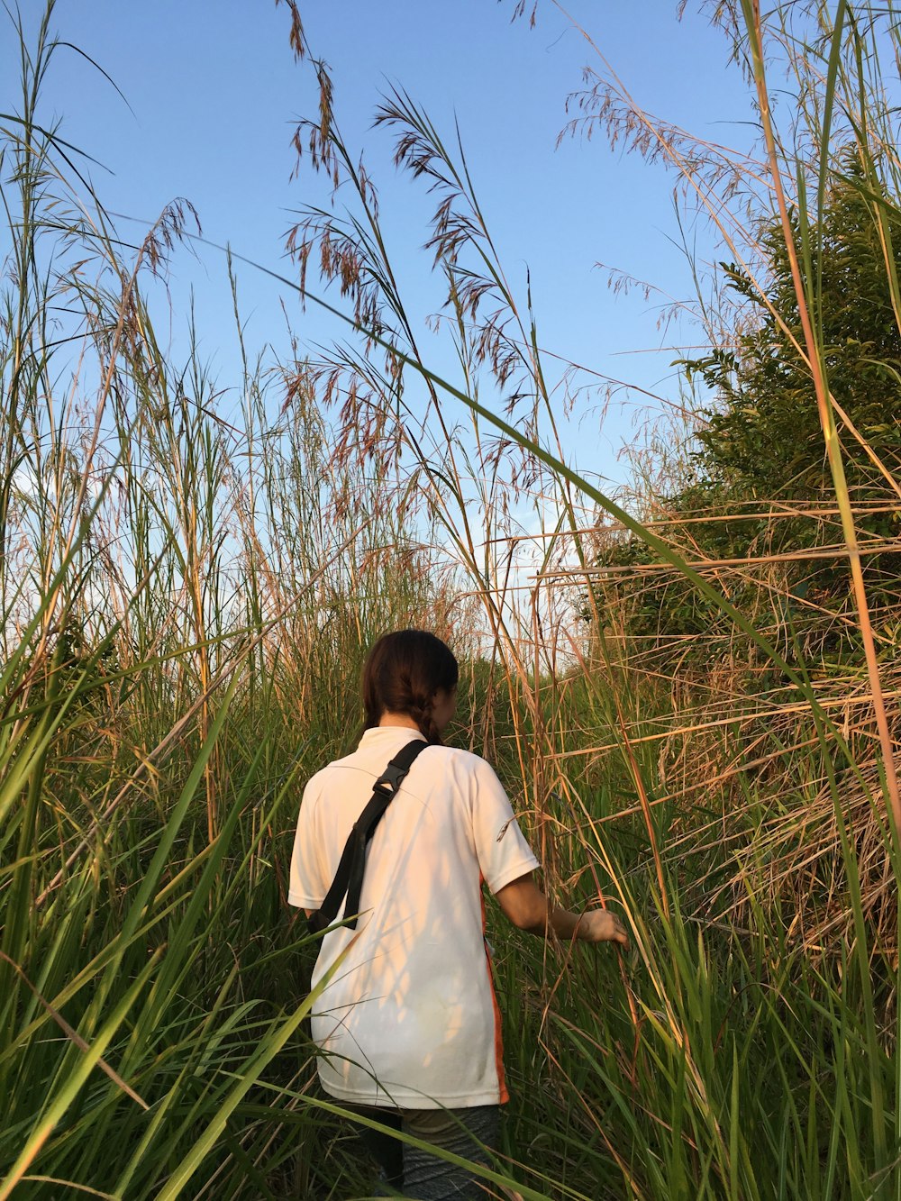 a man walking through tall grass