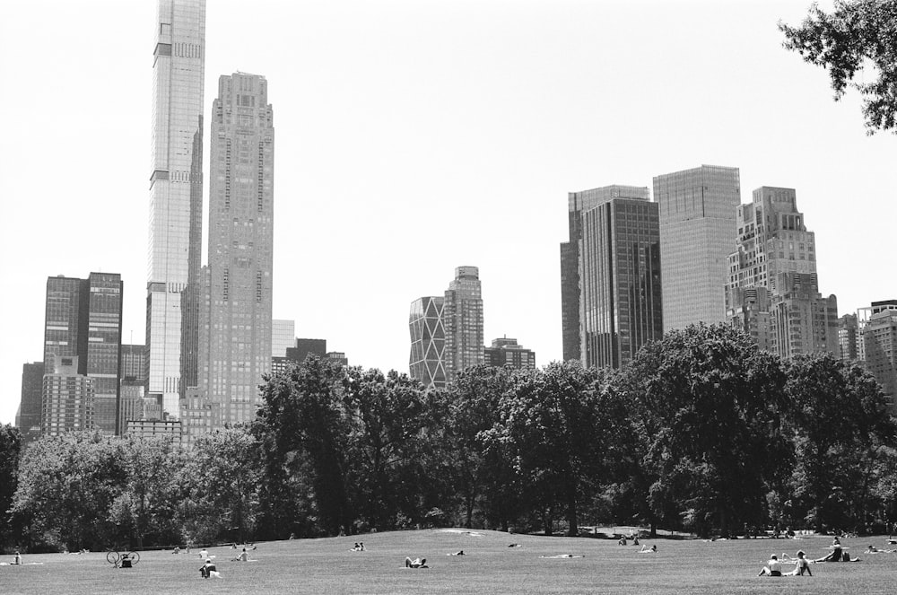 a park with tall buildings in the background