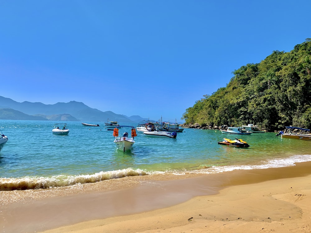 a beach with boats and people