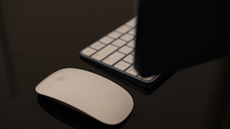 a computer mouse next to a keyboard