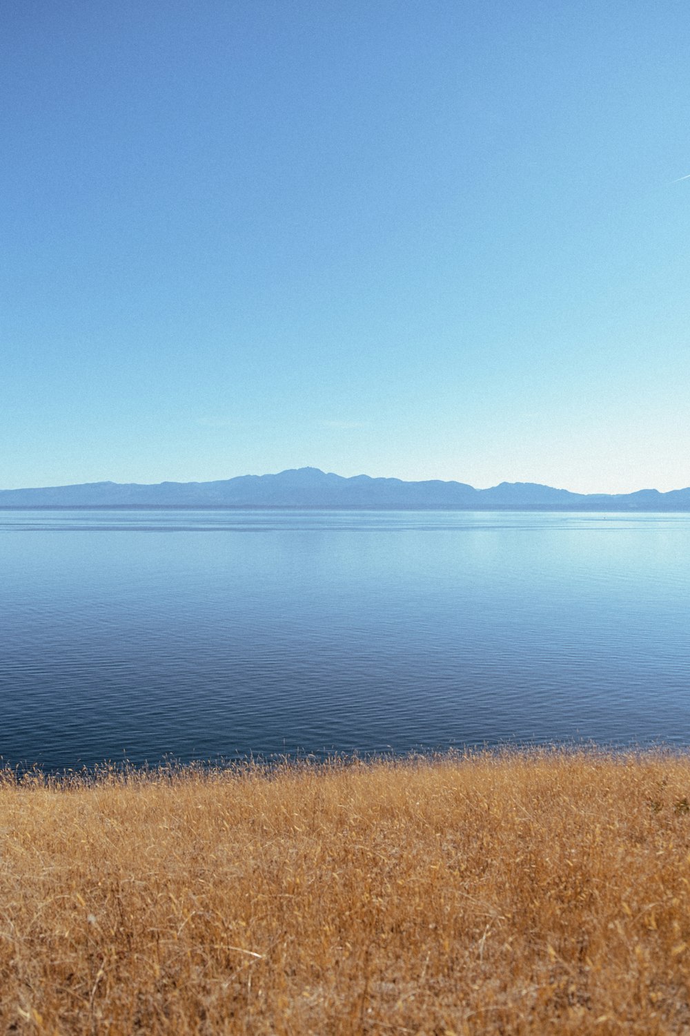 a body of water with grass and hills in the background