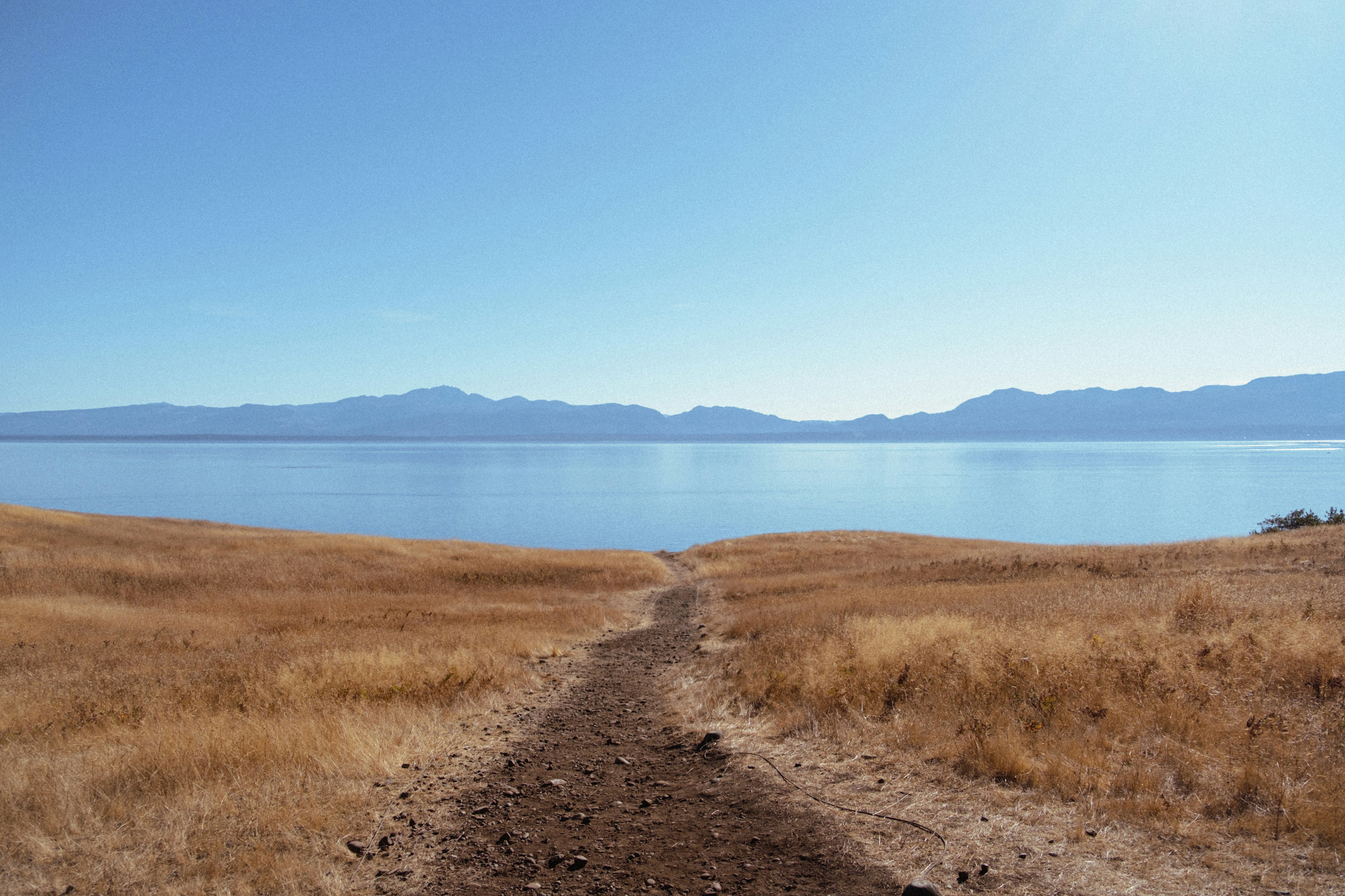 a dirt path leading to a body of water