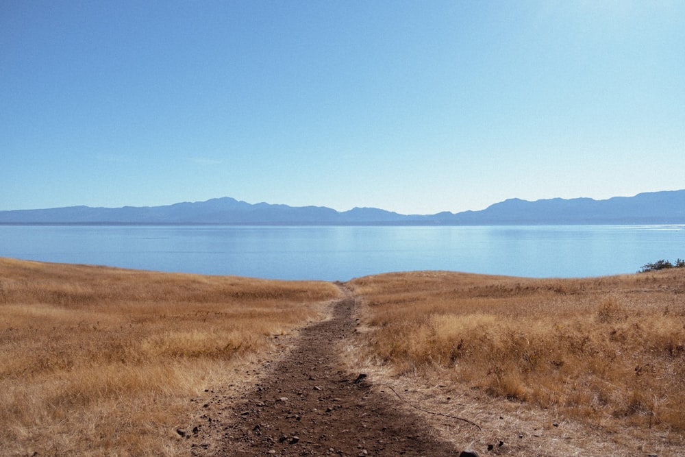 a dirt path leading to a body of water