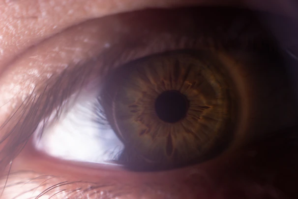 close up of an eye