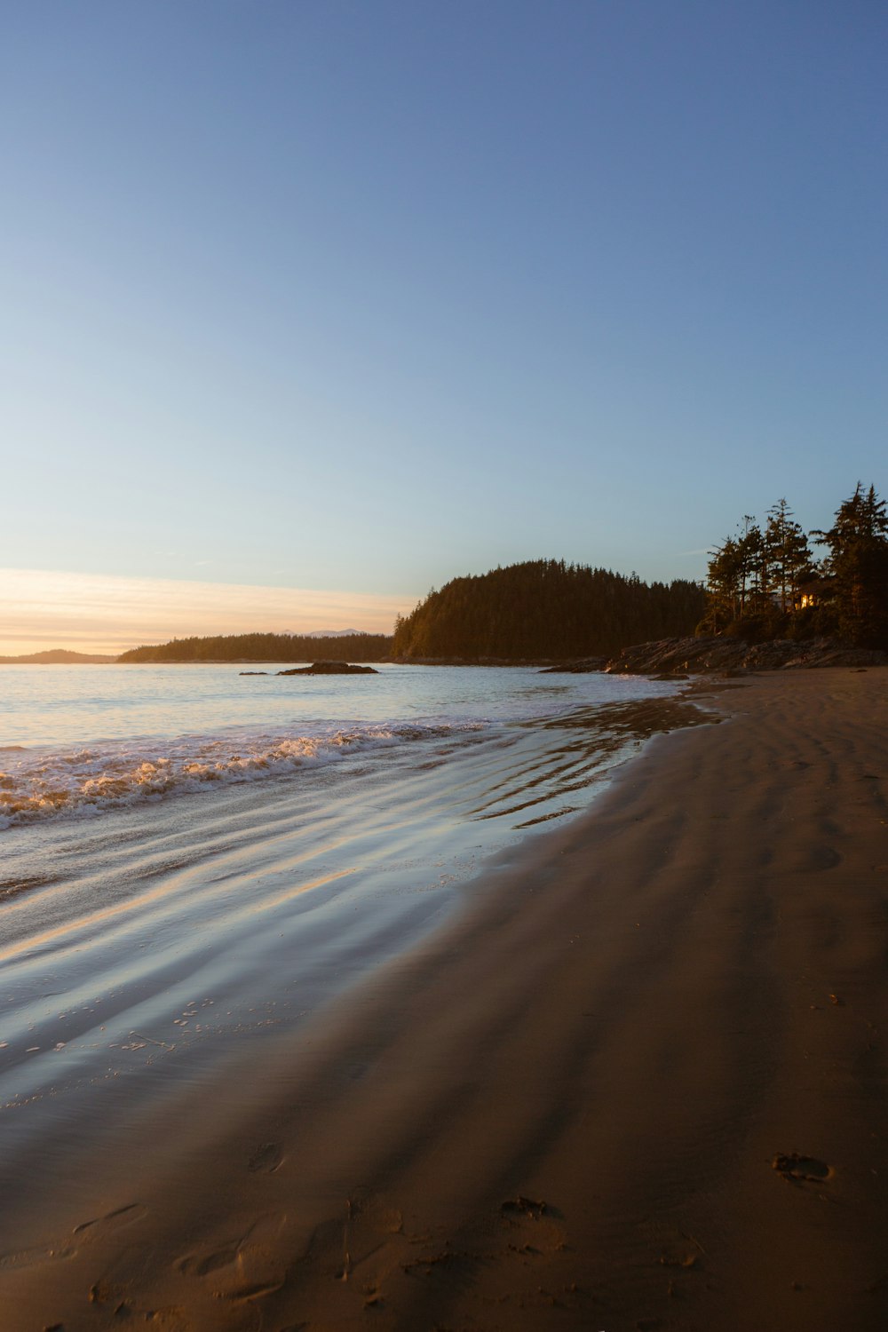 a beach with a body of water and trees on the side