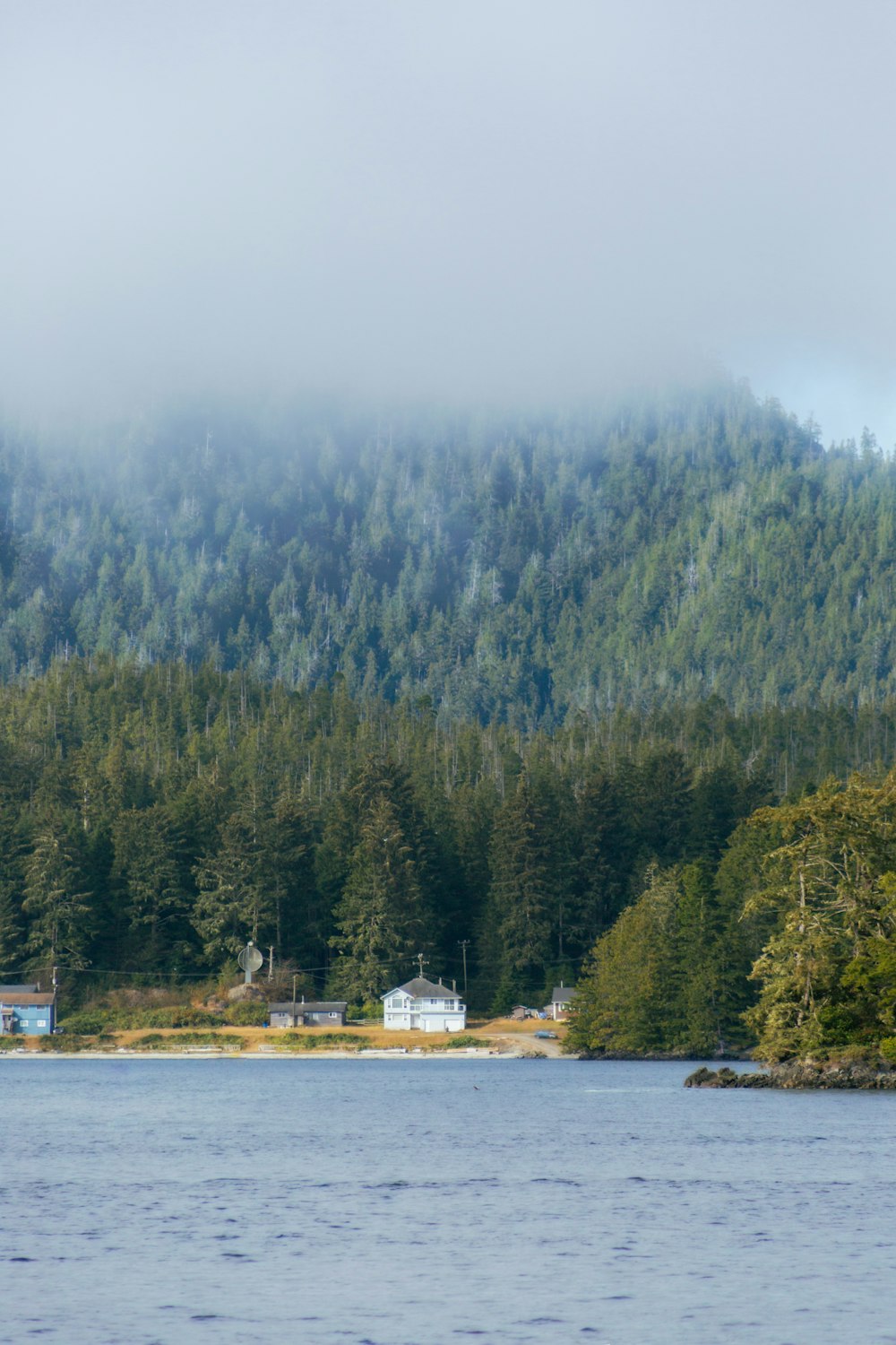 a lake with trees and a house