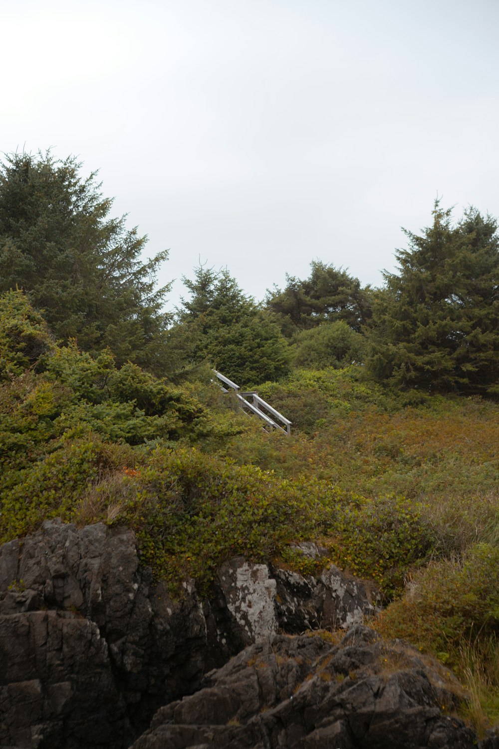 a white object in the air above a rocky area with trees