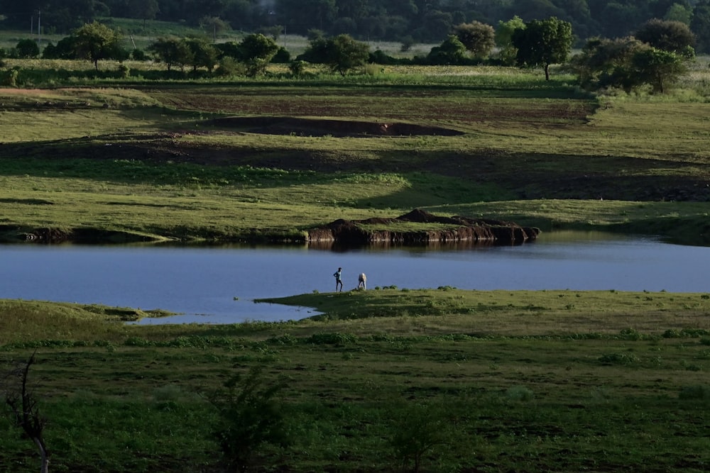 a small island in a river