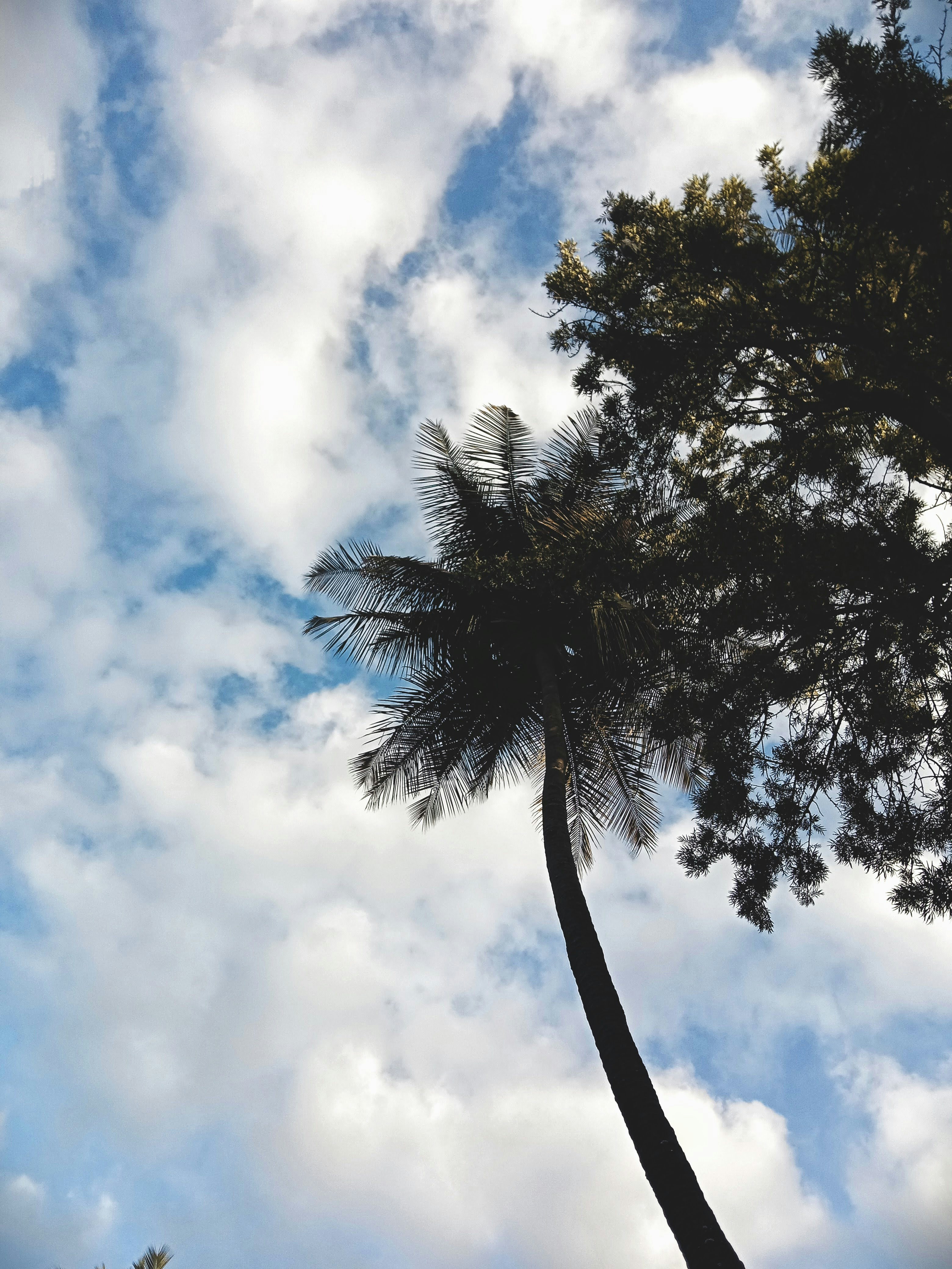 Photo by kavyarknair