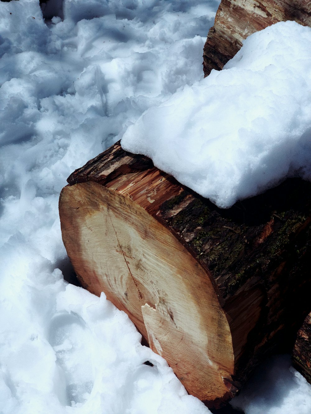 a group of large rocks in the snow