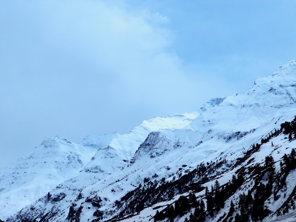 a snowy mountain with trees