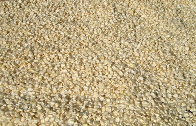 a large pile of grains