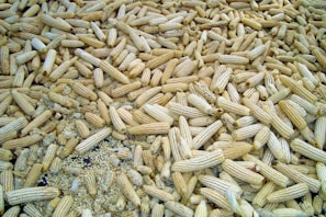 Animal feed and by-products