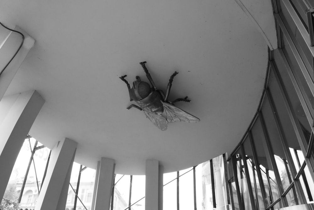 a spider from a ceiling