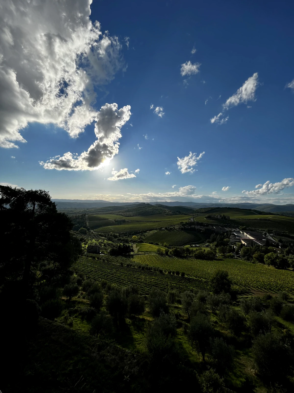 Vineyards and wooded hills under a big sky on the Barone Ricasoli estate near Gaiole in Chianti