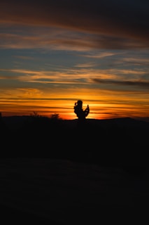 A vibrant sunset hike capturing the silhouette of Aparna against the sky.