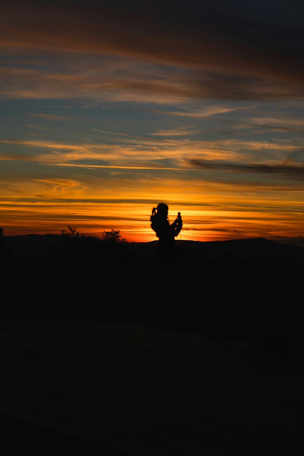 a silhouette of a person and a dog on a hill at sunset