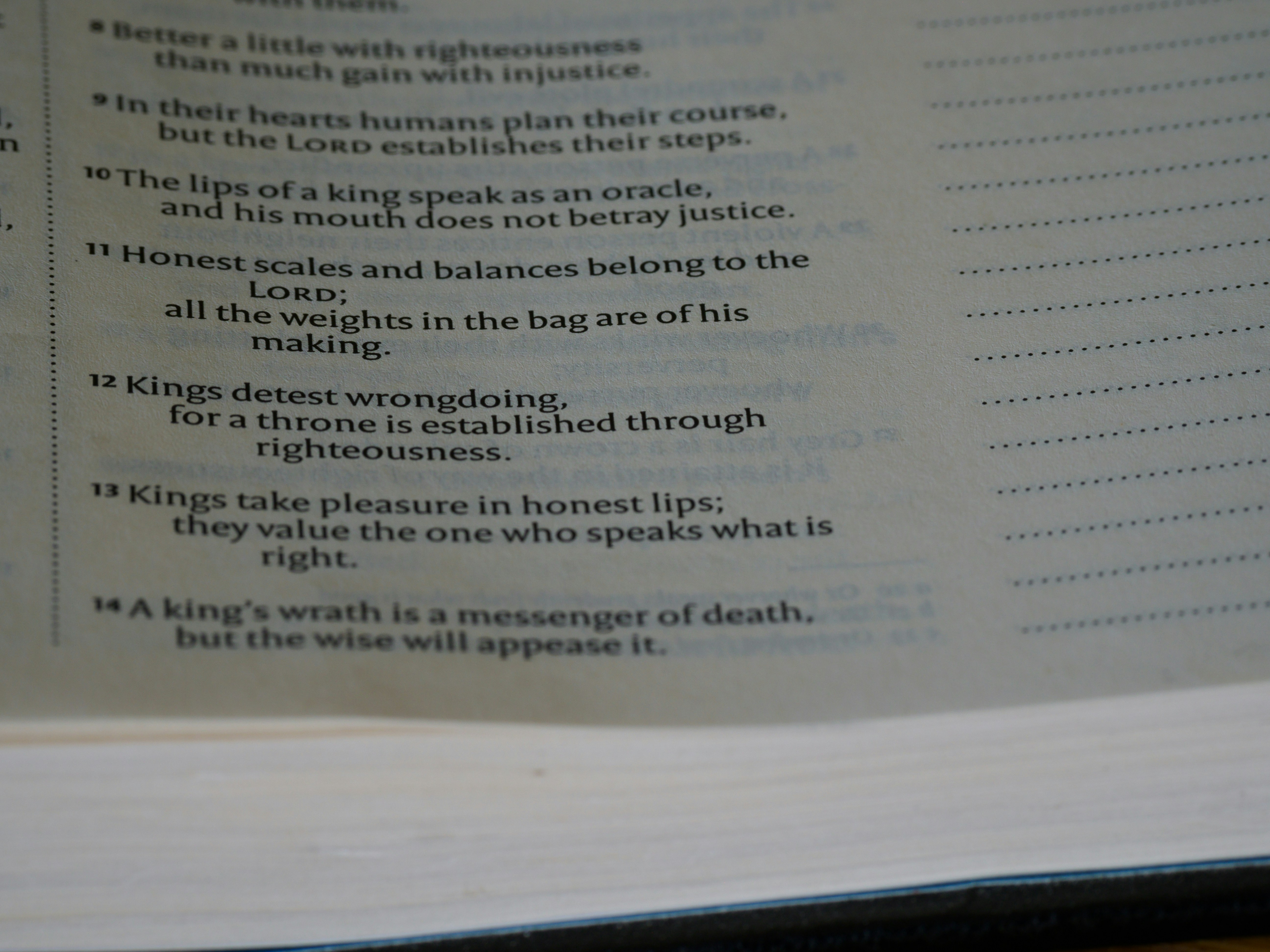 Photo by brett_jordan