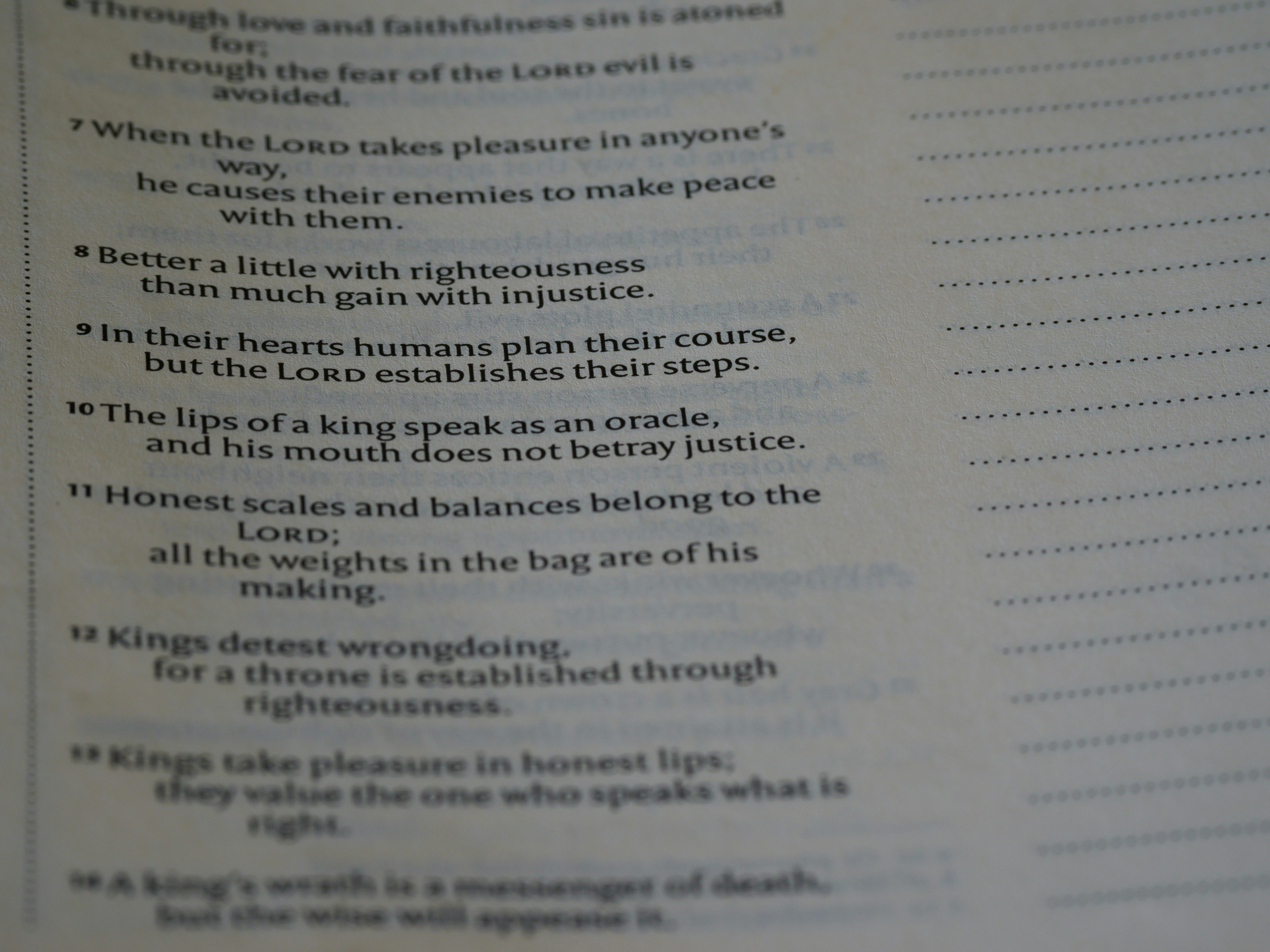 close up, bokeh, macro, blur, blurred background, close focus, bible, old testament, hebrew bible, christian, judaism, history, text, reading, bible study, devotions, text, NIV, New International Version, type, typography, canon, christianity, holy scripture, holy bible, scripture, old testament, hebrew bible, מִשְלֵי, book of proverbs, proverbs of solomon, wisdom literature, ketuvim, anthology, solomon, wisdom, sayings, mashai, folly, values, morality, proverbs, proverb, life skills, ancient wisdom, hebrew wisdom,