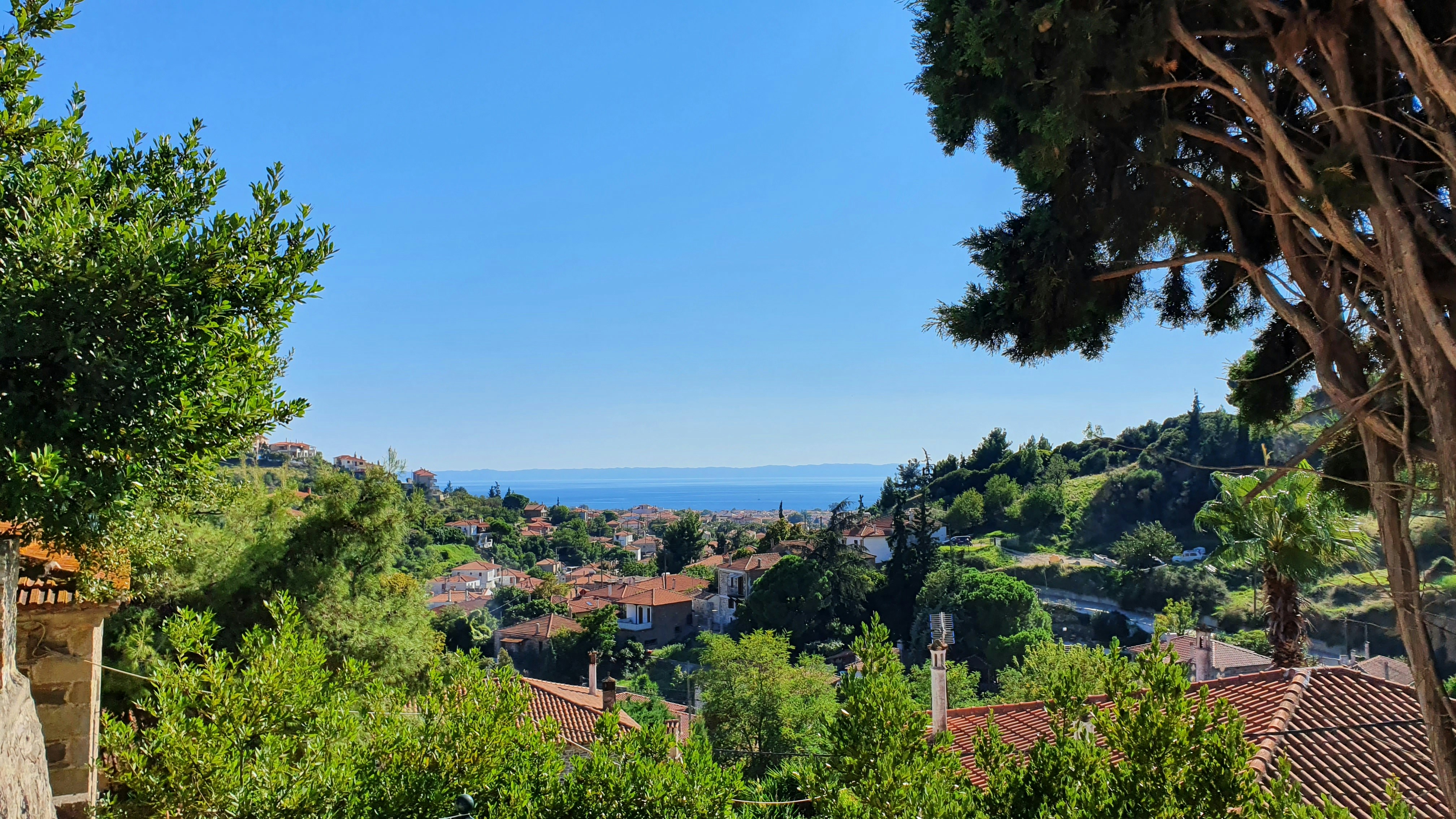 Photo by anastasius1985