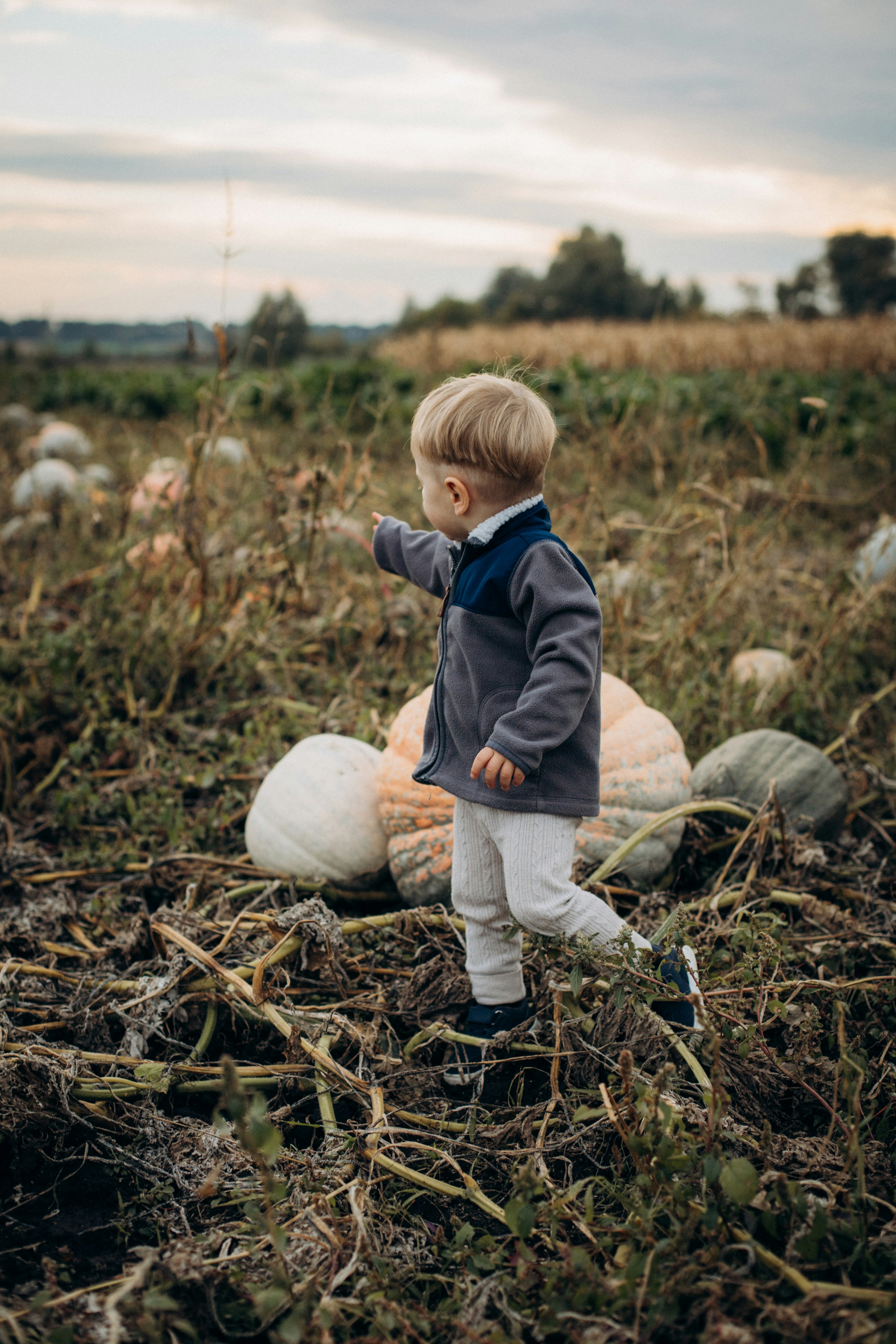 Un bébé debout dans un champ d’herbe avec quelques boules blanches photo Photo Humain Gratuite