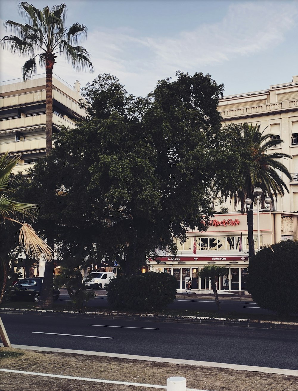 a tree in front of a building