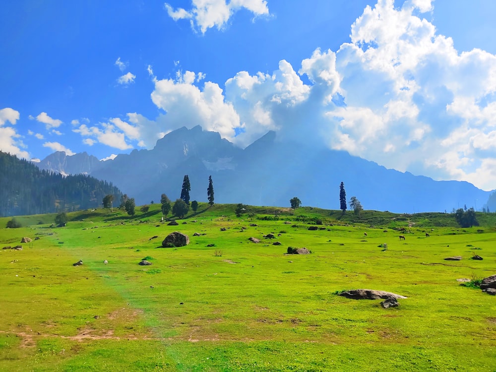 a grassy field with trees and mountains in the background