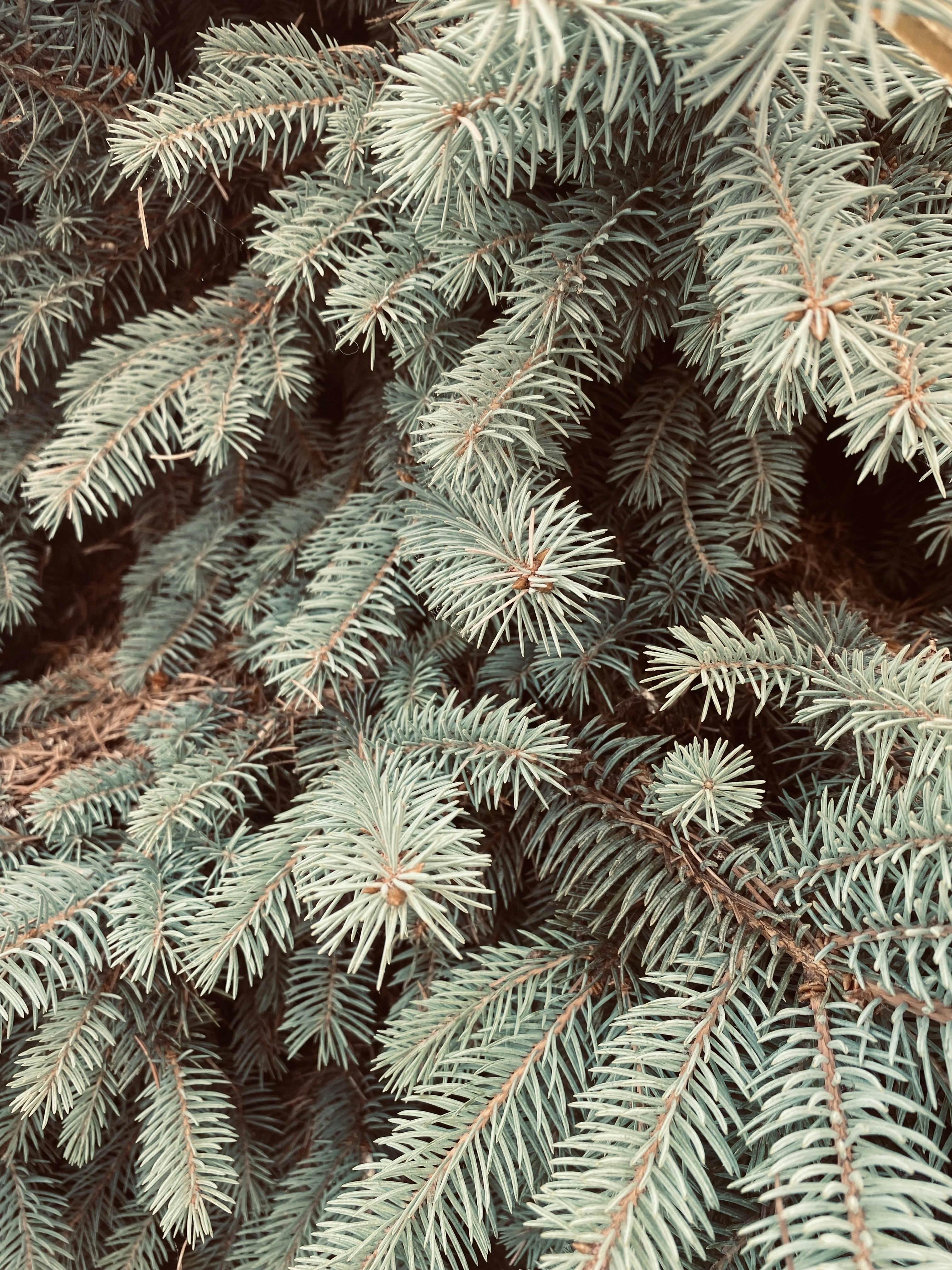 Photo by roxanneblack7