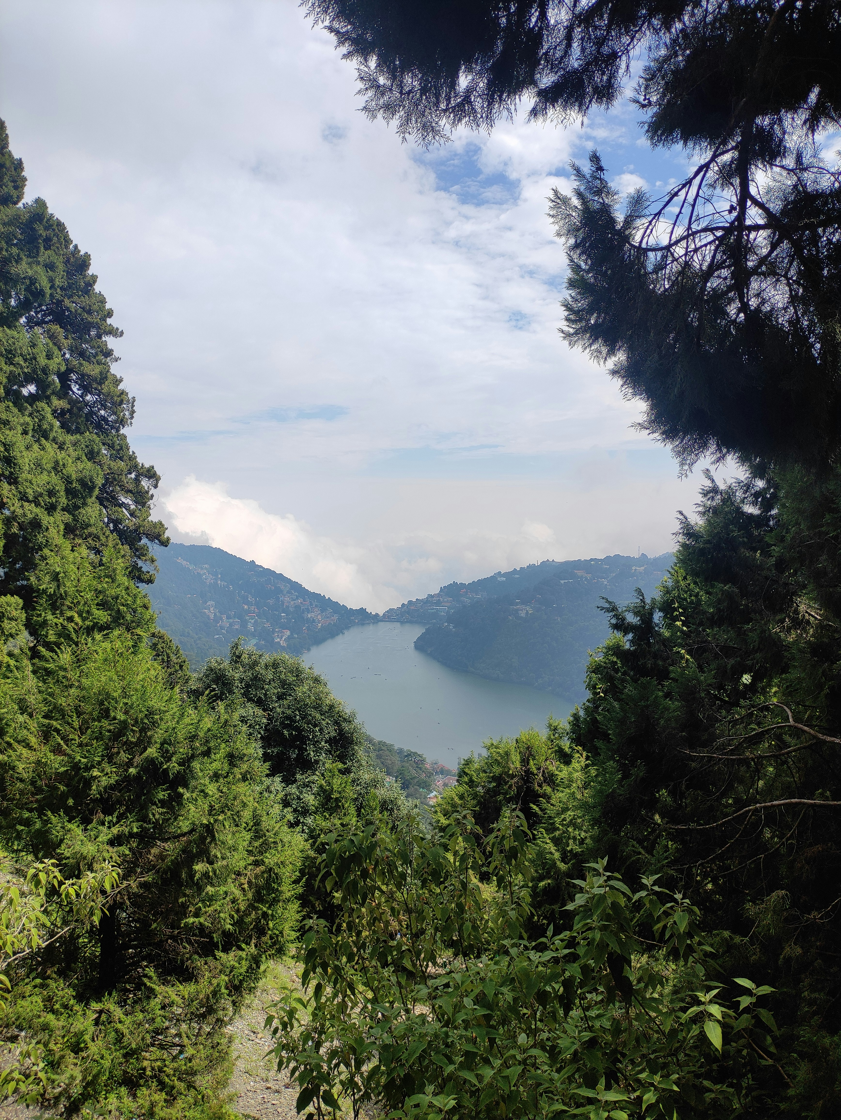 Photo by sakshambharadwaj18