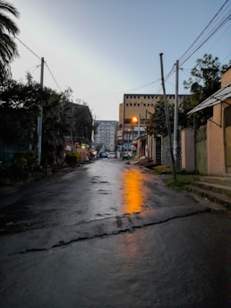 A quiet street scene at dusk with warm streetlights casting gentle glimmers on wet pavement.