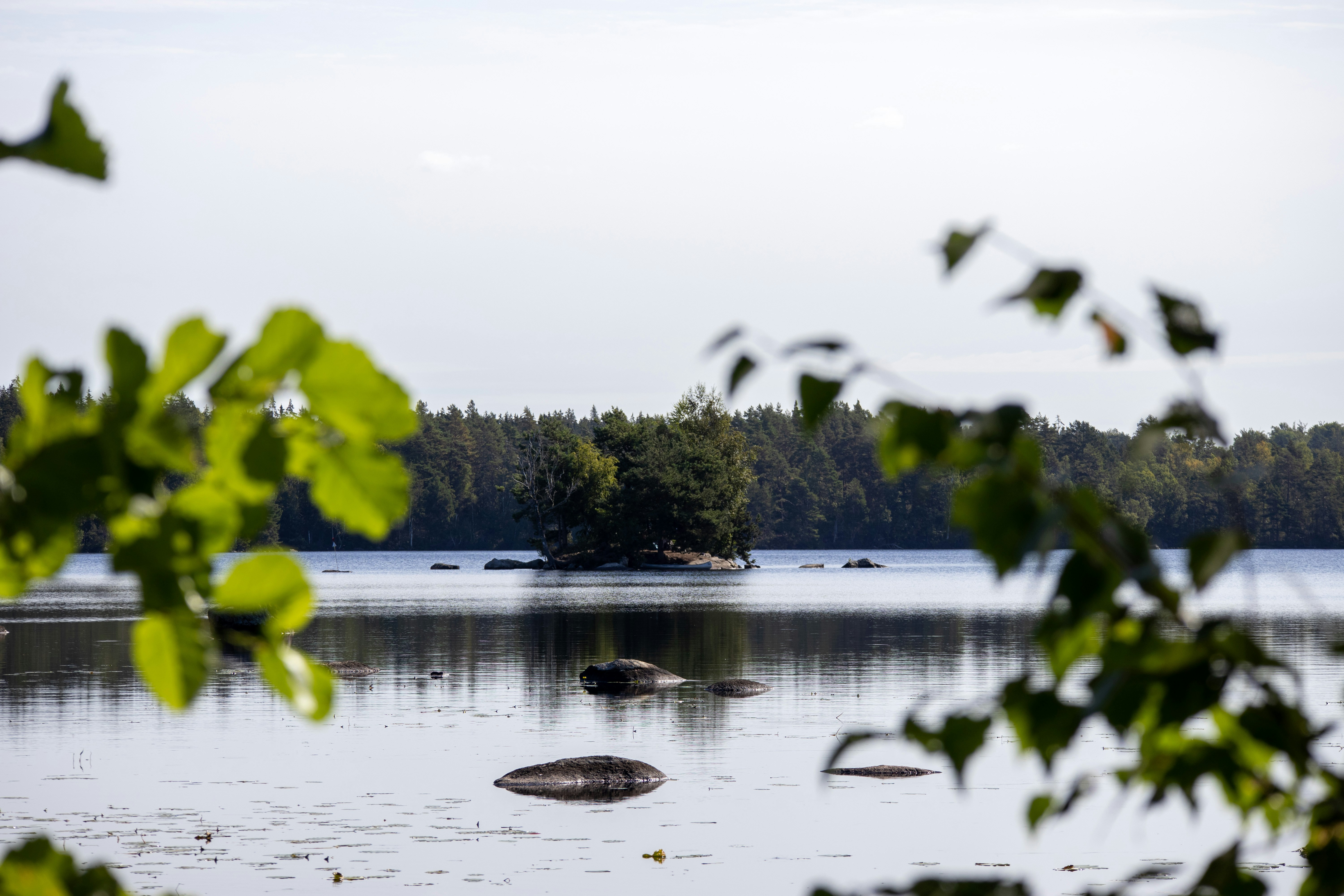 Photo by amandine_bataille_photo