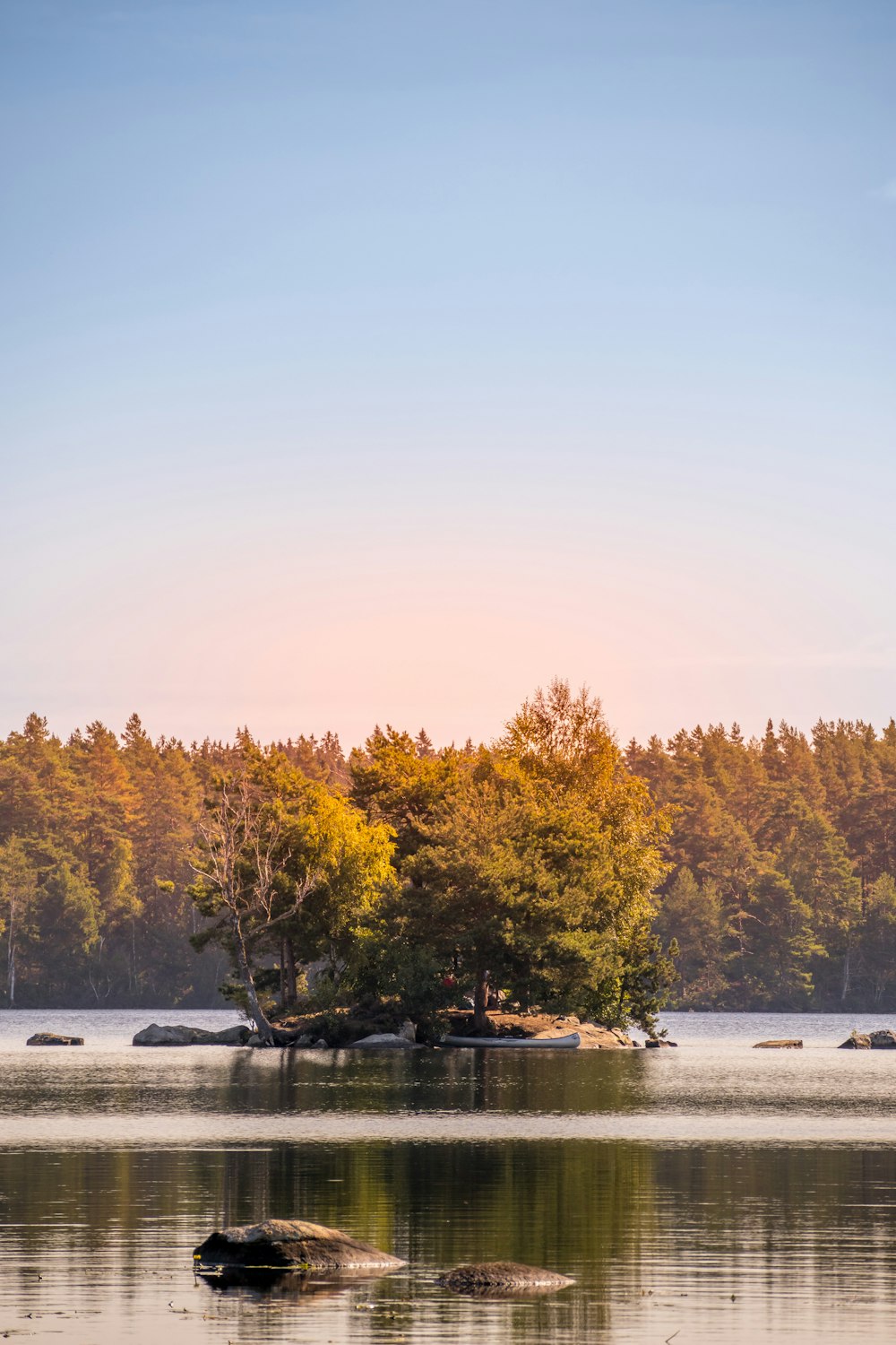 a body of water with trees around it