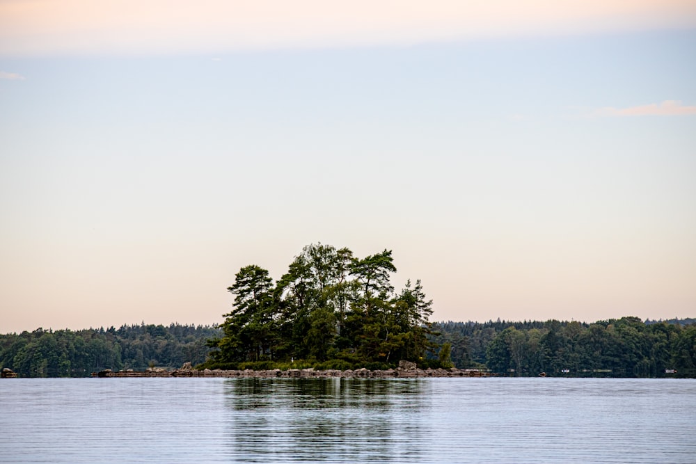 a small island with trees on it