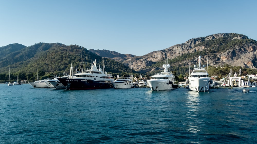 a group of boats in a harbor