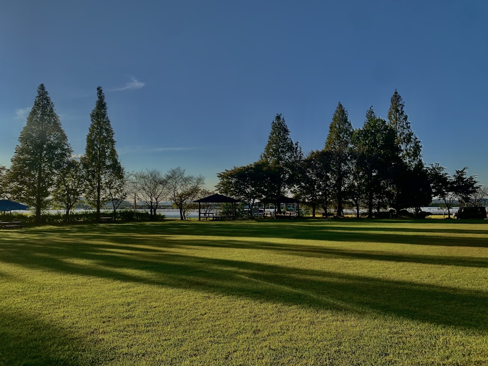 a large grassy field with trees in the background