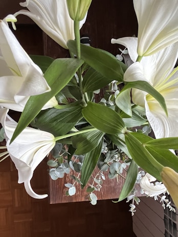 Overhead view of a fine art floral arrangement combining white lilies and dusty pink ranunculus on a sandy beige surface.