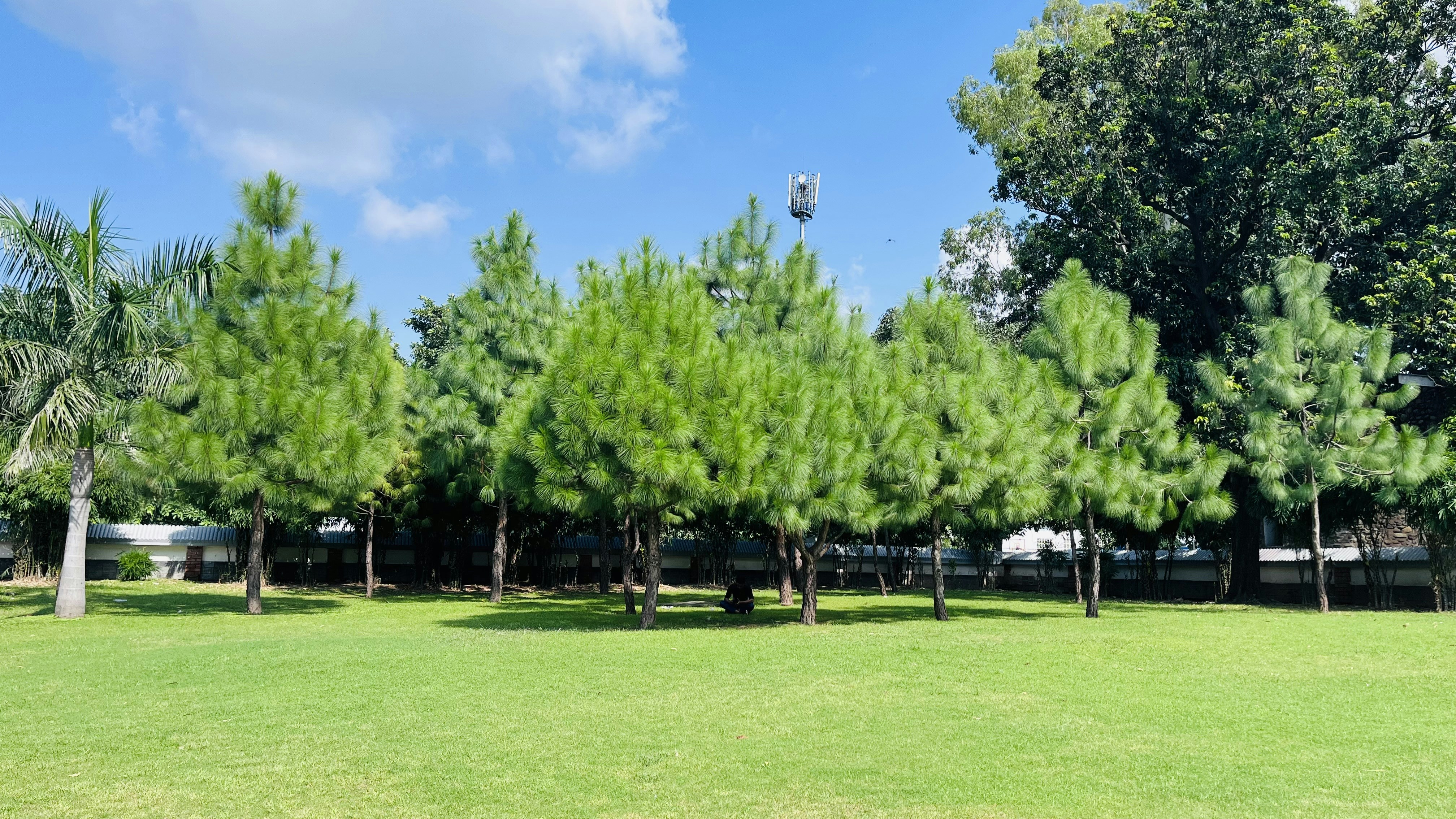 Winfield City Park