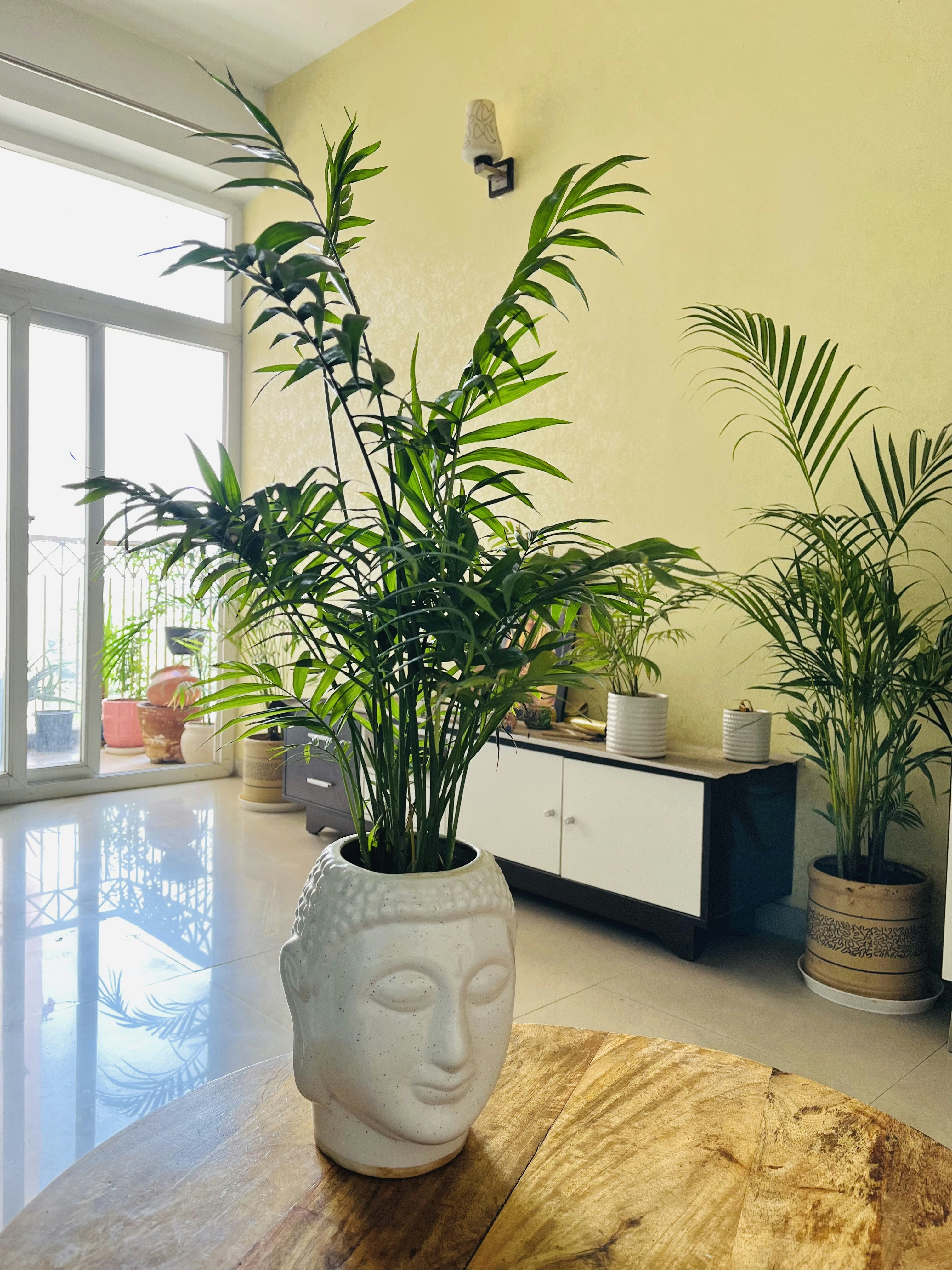 Photo by anshulshrinet